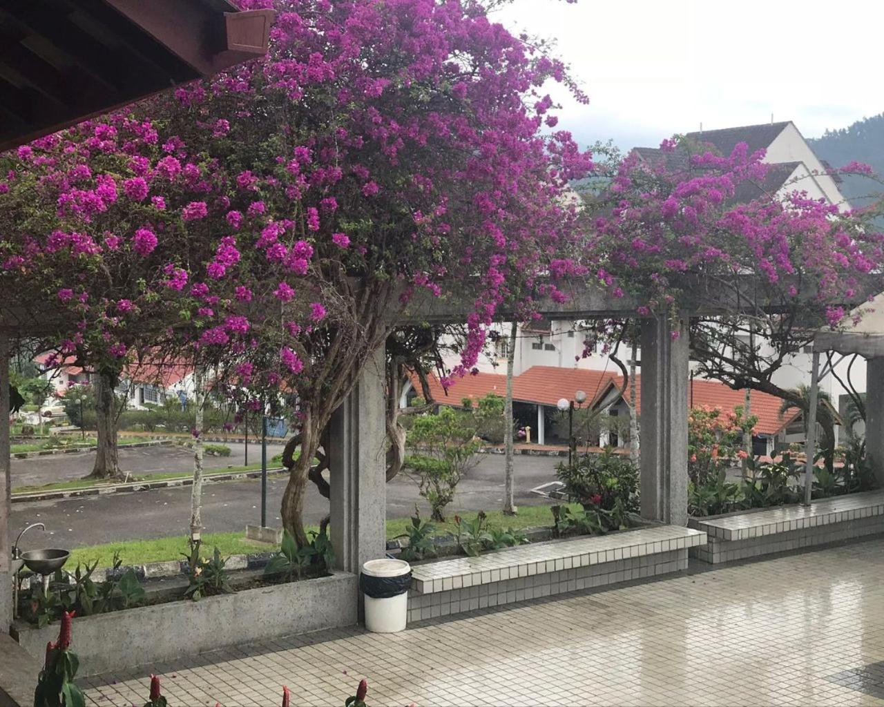 Thatniceplace In Selesa Hillhome, Bukit Tinggi, Bentong, Genting Zewnętrze zdjęcie